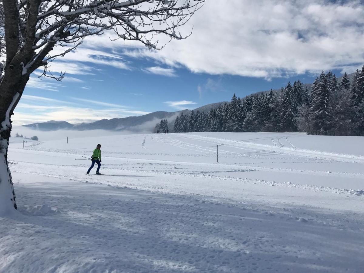 Plenouze Διαμέρισμα Autrans-Meaudre-en-Vercors Εξωτερικό φωτογραφία